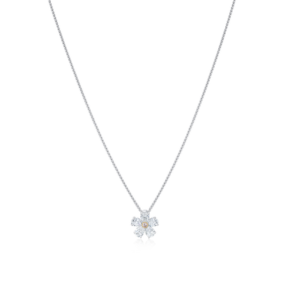 Silver necklace with a flower-shaped pendant on a white background