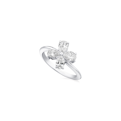 The Butterfly Ring
